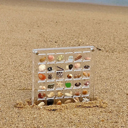 Clear Acrylic Shell Organizer